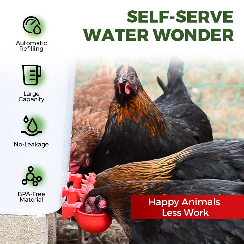 🔥5/16 Inch Thread Automatic Poultry Water Cups-2