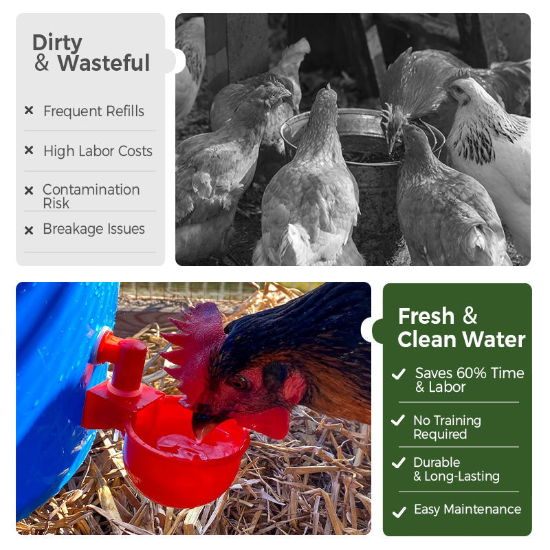 🔥5/16 Inch Thread Automatic Poultry Water Cups-4